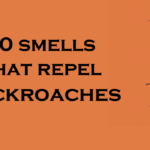 10 Smells That Repel Cockroaches