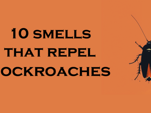 10 Smells That Repel Cockroaches